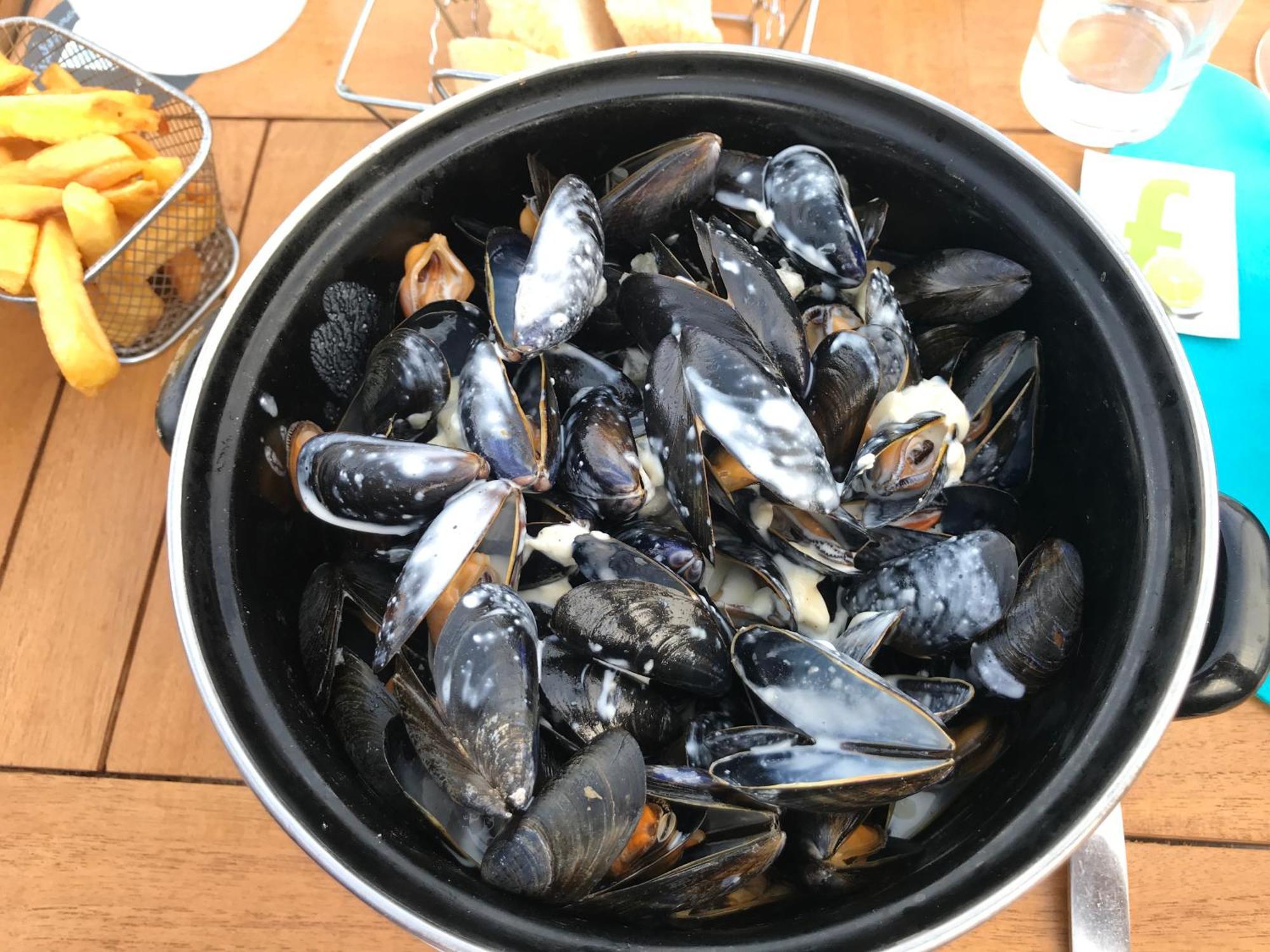Appartamento Bleu Salé - F2 Courseulles avec balcon Esterno foto